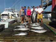 Pirate's Cove Marina, More From Wednesday's Catch
