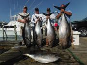 Pirate's Cove Marina, BIG Fishes!