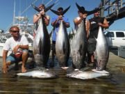 Pirate's Cove Marina, Citation Bigeyes and Cobia!