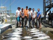 Pirate's Cove Marina, Limits of Tuna!