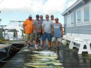 Pirate's Cove Marina, What A Great Fleet!