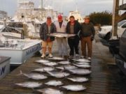 Pirate's Cove Marina, Tuna and WAHOO