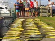 TW’s Bait & Tackle, TW's Daily Fishing Report. 8/23/15