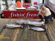 TW’s Bait & Tackle, TW's Daily Fishing Report. 12/3/15