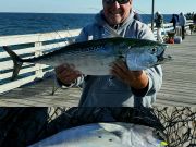 TW’s Bait & Tackle, TW's Daily fishing Report. 10/29/15