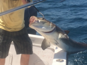 TW’s Bait & Tackle, TW's Daily Fishing Report- 03/13/2015
