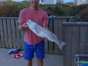 TW’s Bait & Tackle, TW's Daily fishing Report. 8/18/15