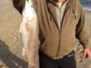 TW’s Bait & Tackle, TW's Daily fishing Report