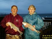 TW’s Bait & Tackle, TW's Daily Fishing Report. 11/3/15