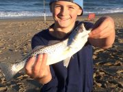 TW’s Bait & Tackle, TW's Daily Fishing Report. 11/2715