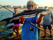 TW’s Bait & Tackle, TW's Daily Fishing Report. 7/15/15