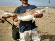 TW’s Bait & Tackle, TW's Daily fishing Report. 5/7/15