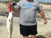 TW’s Bait & Tackle, TW's Daily Fishing Report. 9/7/15