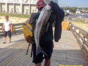 TW’s Bait & Tackle, TW's Daily Fishing Report. 6/17/15