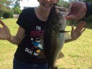 TW’s Bait & Tackle, TW's Daily Fishing Report. 5/17/15