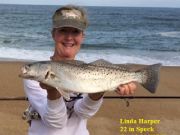 TW’s Bait & Tackle, TW's Daily Fishing Report. 11,1/15