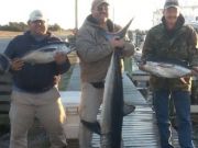 TW’s Bait & Tackle, TW's Daily fishing Report. 1/21/15