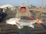 TW’s Bait & Tackle, TW's Daily Fishing Report. 5/11/15