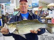 TW’s Bait & Tackle, TW's Daily Fishing Report. 12/13/15