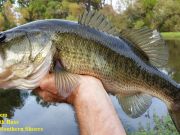TW’s Bait & Tackle, TW's Daily Fishing Report. 10/30/15