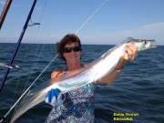 TW’s Bait & Tackle, TW's Daily fishing Report. 8/5/15