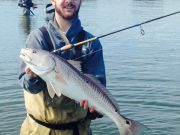 TW’s Bait & Tackle, TW's Daily Fishing Report. 4/11/15