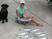 TW’s Bait & Tackle, TW's Daily fishing Report. 9/18/15