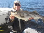 TW’s Bait & Tackle, TW's Daily fishing Report. 11/23/15