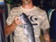 TW’s Bait & Tackle, TW’s Daily Fishing Report. 10/30/14