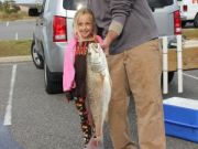 TW’s Bait & Tackle, TW’s Daily Fishing Report. 11/2/14