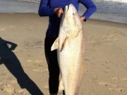 TW’s Bait & Tackle, TW’s Daily Fishing Report. 10/31/14