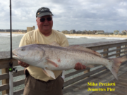 TW’s Bait & Tackle, TW’s Daily fishing Report. 10/15/14