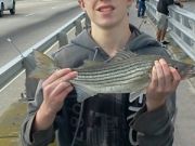 TW’s Bait & Tackle, TW’s Daily fishing Report. 10/7/14