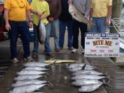 Bite Me Sportfishing Charters, Blackfins, golden tilefish!