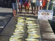 Bite Me Sportfishing Charters, Mahi and a Wabbly hoo