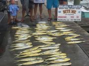 Bite Me Sportfishing Charters, Hooked Up Triple Header!