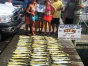 Bite Me Sportfishing Charters, Mahi and a Sail