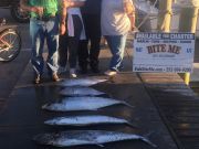 Bite Me Sportfishing Charters, Late Day Live Bait action!