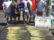 Bite Me Sportfishing Charters, The Delaware Destroyers