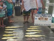 Bite Me Sportfishing Charters, Meghan and Chase Day 1