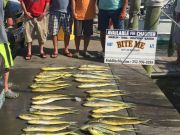 Bite Me Sportfishing Charters, Afternoon Rally!