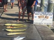 Bite Me Sportfishing Charters, Driving the struggle bus!