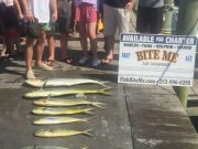 Bite Me Sportfishing Charters, Family Fun Day!