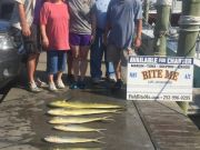 Bite Me Sportfishing Charters, Purdy Day