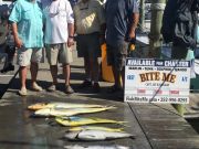 Bite Me Sportfishing Charters, Fishing School!