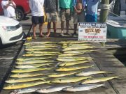 Bite Me Sportfishing Charters, Good dolphin fishin!