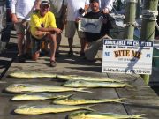 Bite Me Sportfishing Charters, Blue Marlin and a mess of big gaffers!