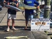 Bite Me Sportfishing Charters, Slow overall