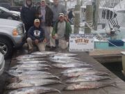 Bite Me Sportfishing Charters, Live Bait!