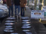 Bite Me Sportfishing Charters, Good Fall Action Continues!